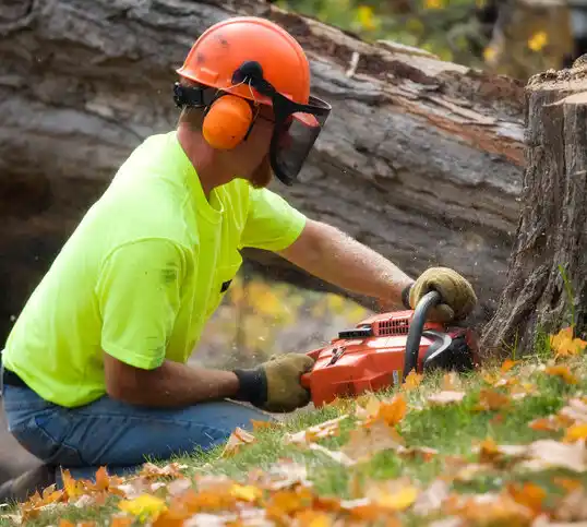 tree services Owingsville